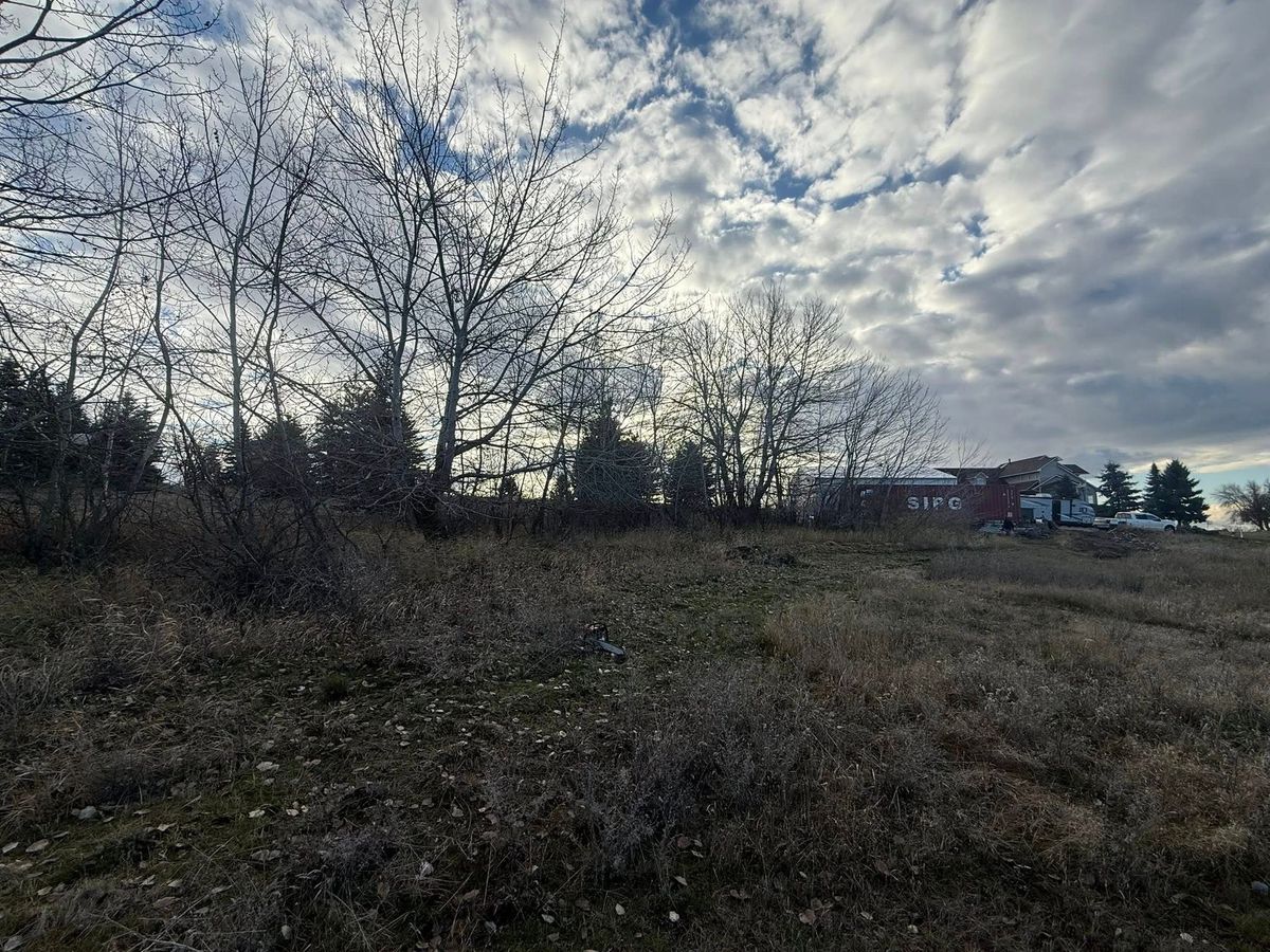 Tree removal and land clearing work by Evergreen Arborworks in Eastern Washington — photo 88