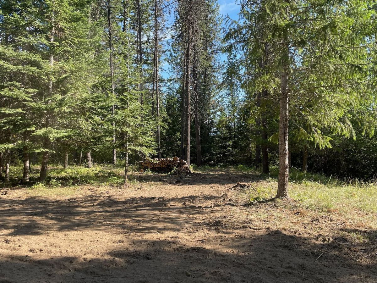 Tree removal and land clearing work by Evergreen Arborworks in Eastern Washington — photo 190