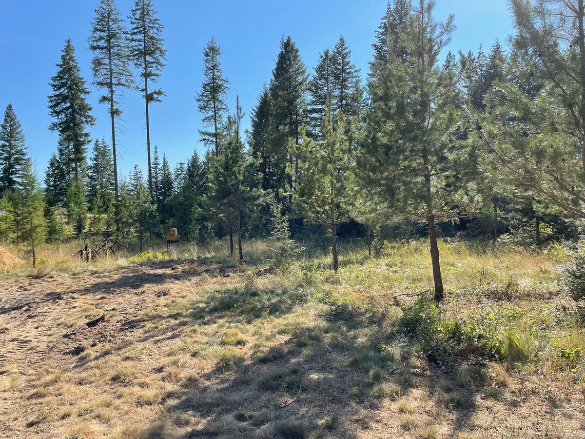 Tree removal and land clearing work by Evergreen Arborworks in Eastern Washington — photo 82