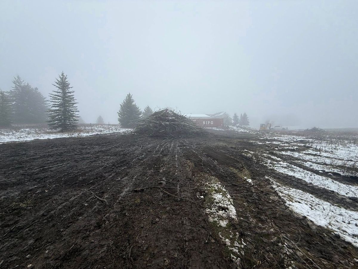 Tree removal and land clearing work by Evergreen Arborworks in Eastern Washington — photo 193