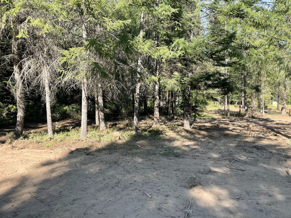 Tree removal and land clearing work by Evergreen Arborworks in Eastern Washington — photo 100