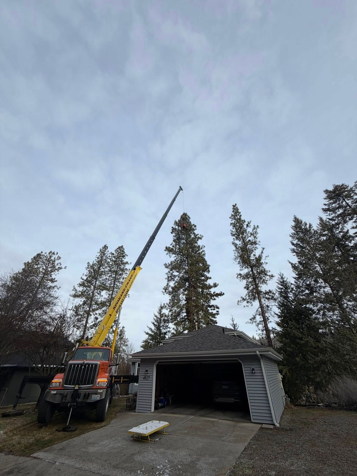 Tree removal and land clearing work by Evergreen Arborworks in Eastern Washington — photo 226