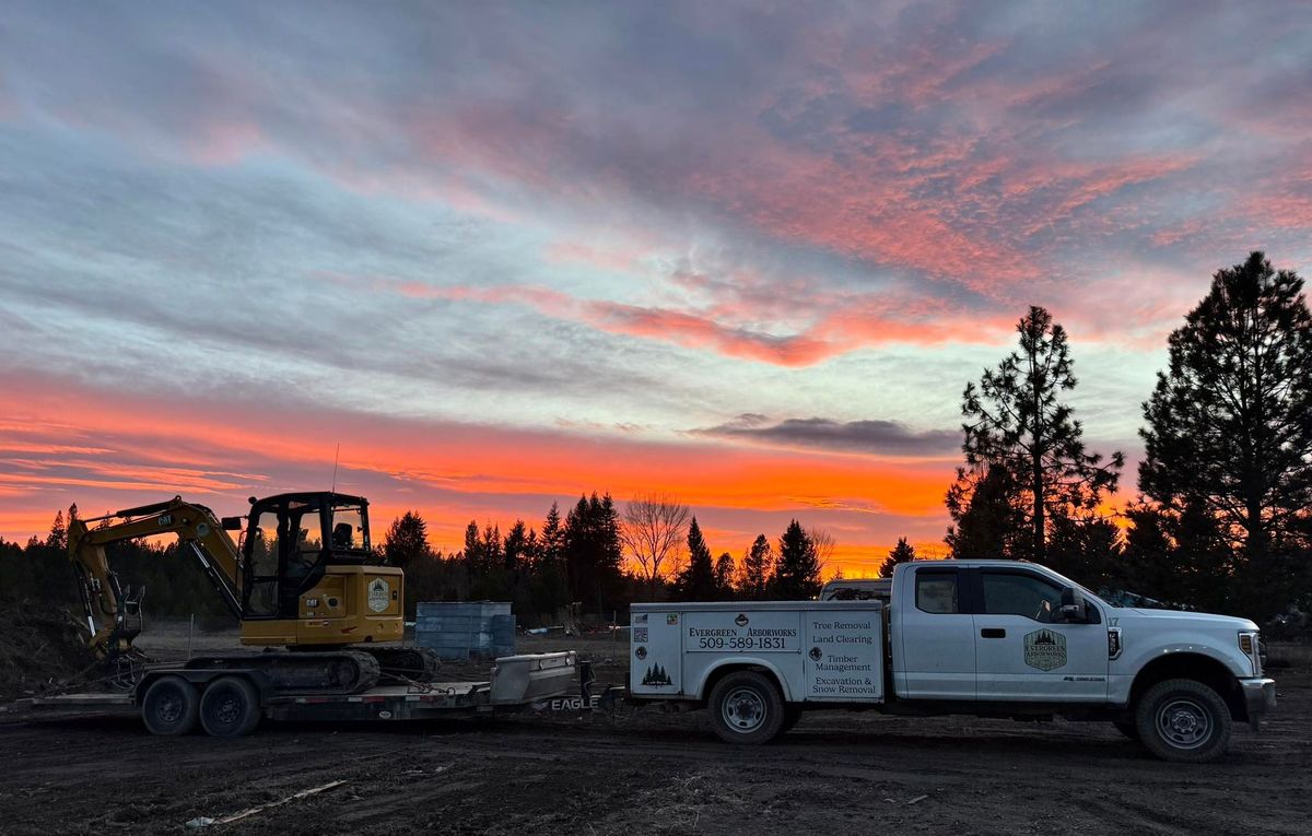 Tree removal and land clearing work by Evergreen Arborworks in Eastern Washington — photo 239
