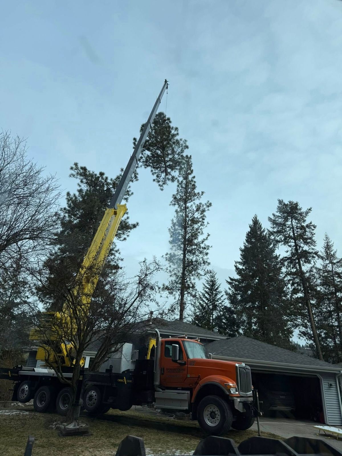 Tree removal and land clearing work by Evergreen Arborworks in Eastern Washington — photo 223