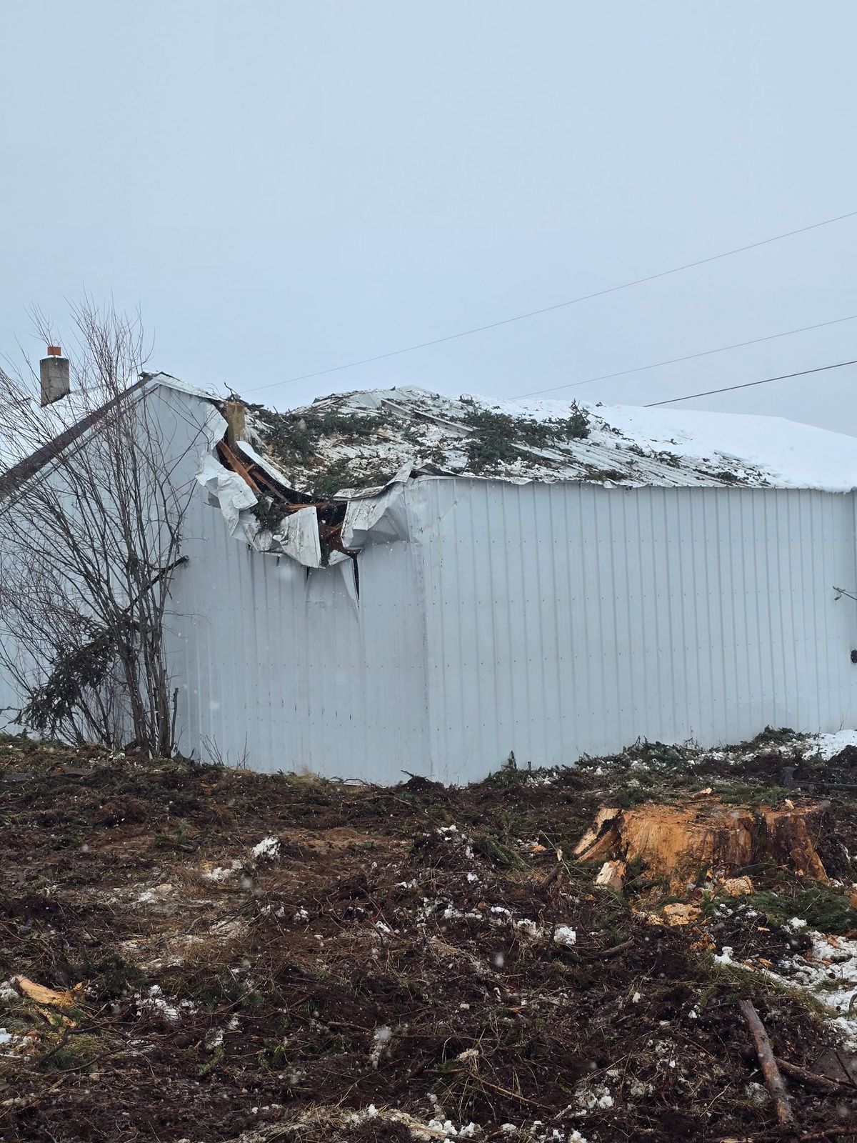 Tree removal and land clearing work by Evergreen Arborworks in Eastern Washington — photo 12
