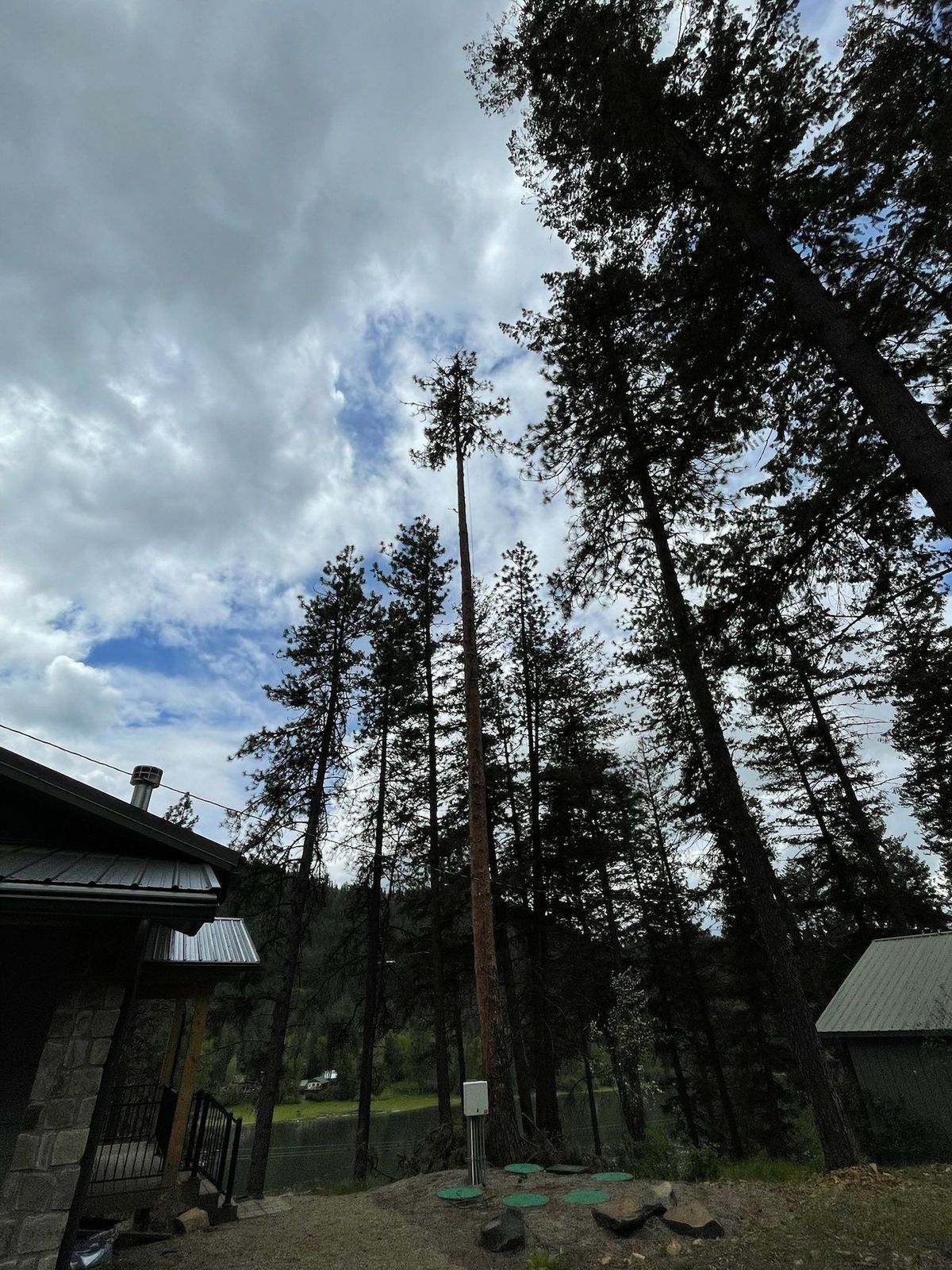Tree removal and land clearing work by Evergreen Arborworks in Eastern Washington — photo 91