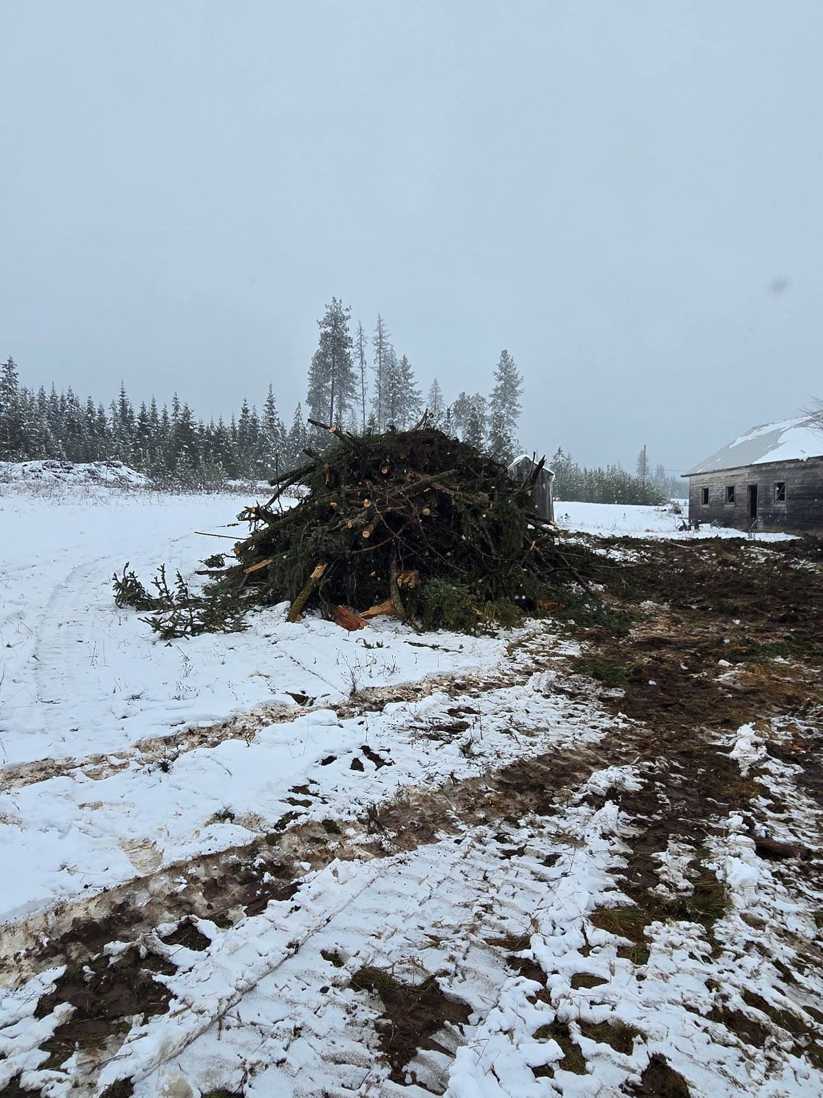 Tree removal and land clearing work by Evergreen Arborworks in Eastern Washington — photo 21