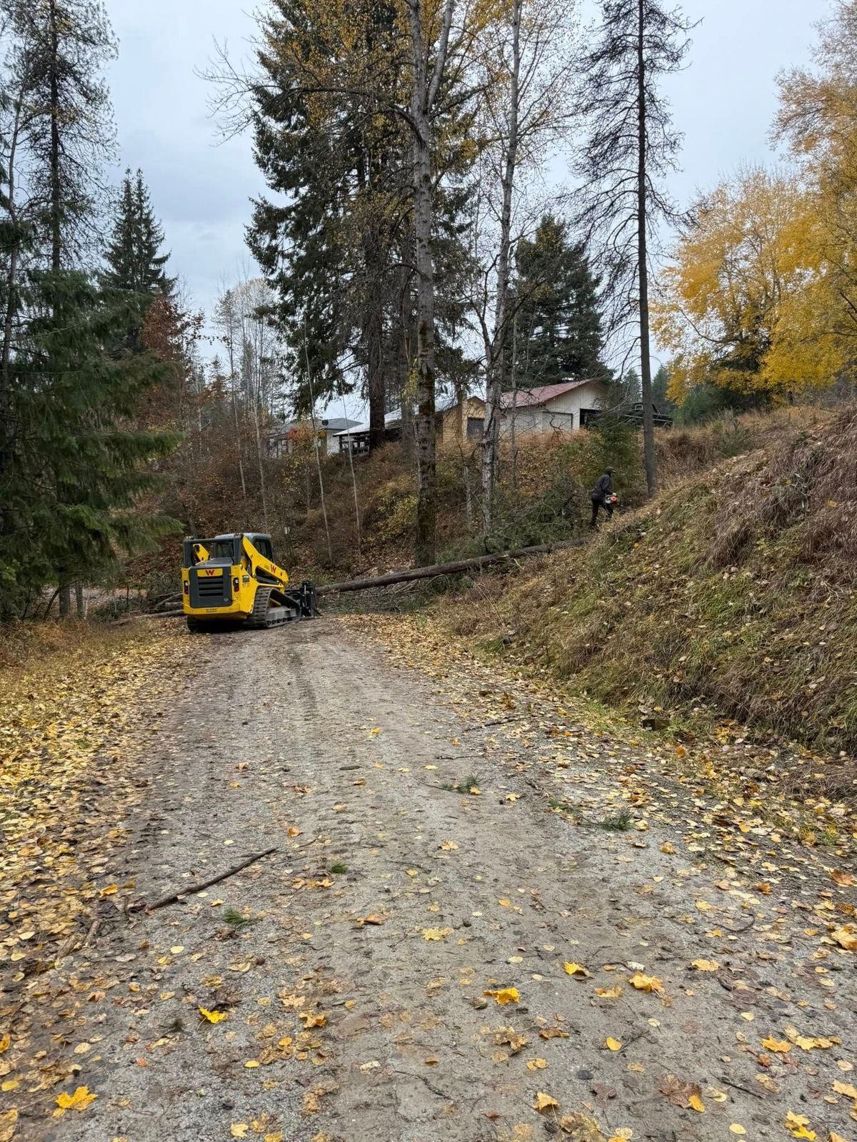 Tree removal and land clearing work by Evergreen Arborworks in Eastern Washington — photo 194