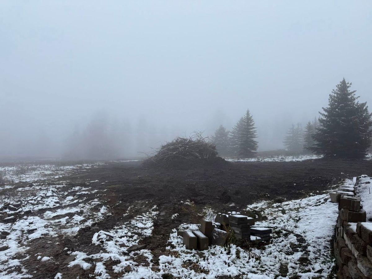 Tree removal and land clearing work by Evergreen Arborworks in Eastern Washington — photo 148