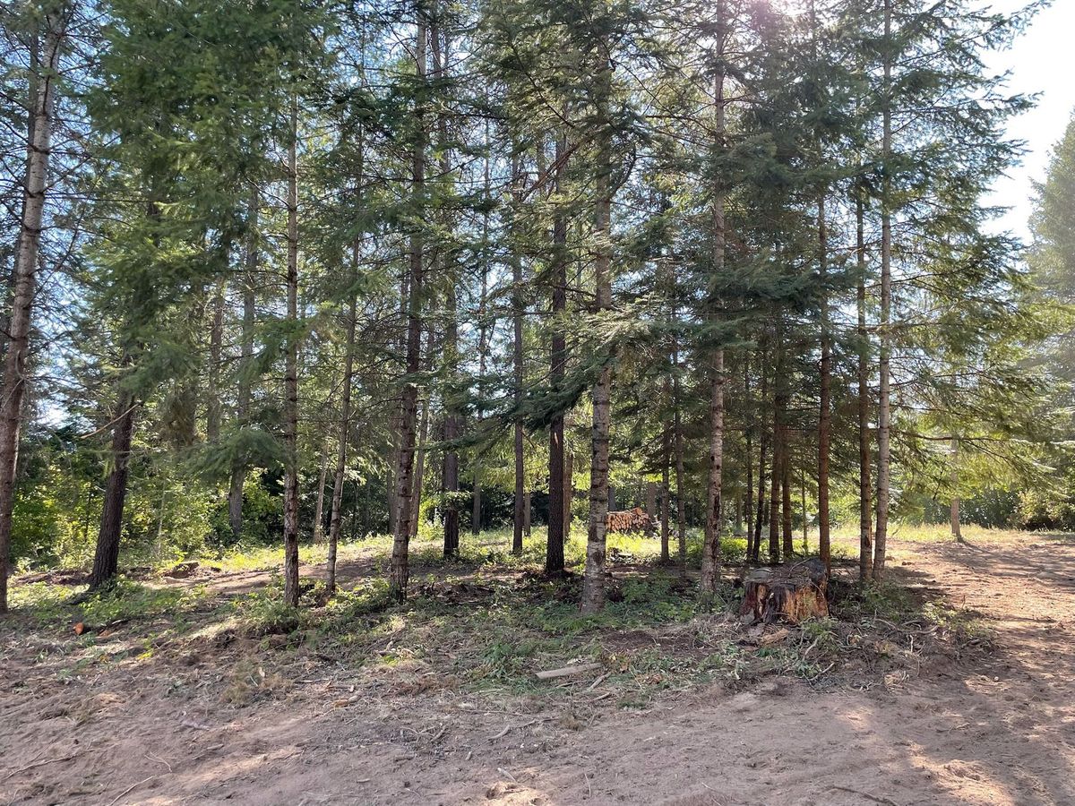 Tree removal and land clearing work by Evergreen Arborworks in Eastern Washington — photo 115