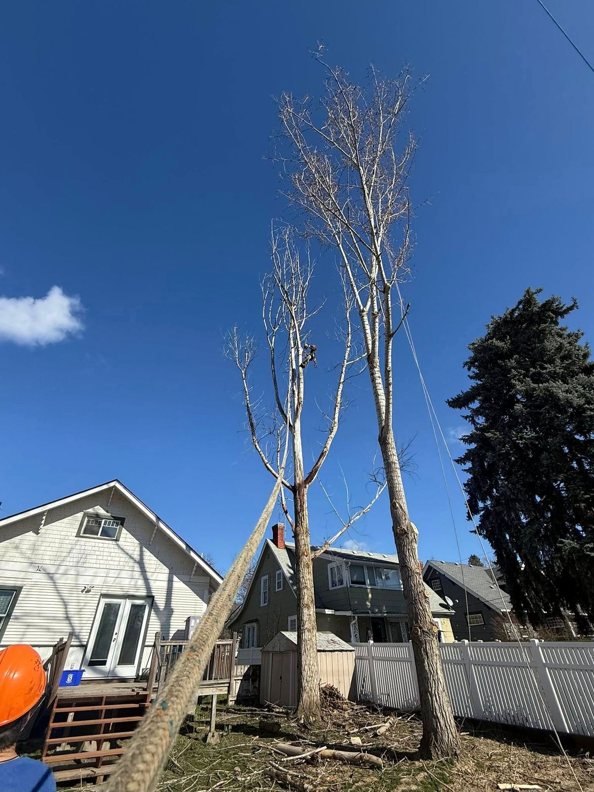 Tree removal and land clearing work by Evergreen Arborworks in Eastern Washington — photo 252