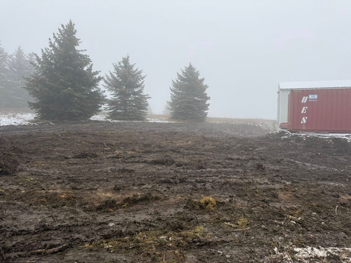 Tree removal and land clearing work by Evergreen Arborworks in Eastern Washington — photo 179