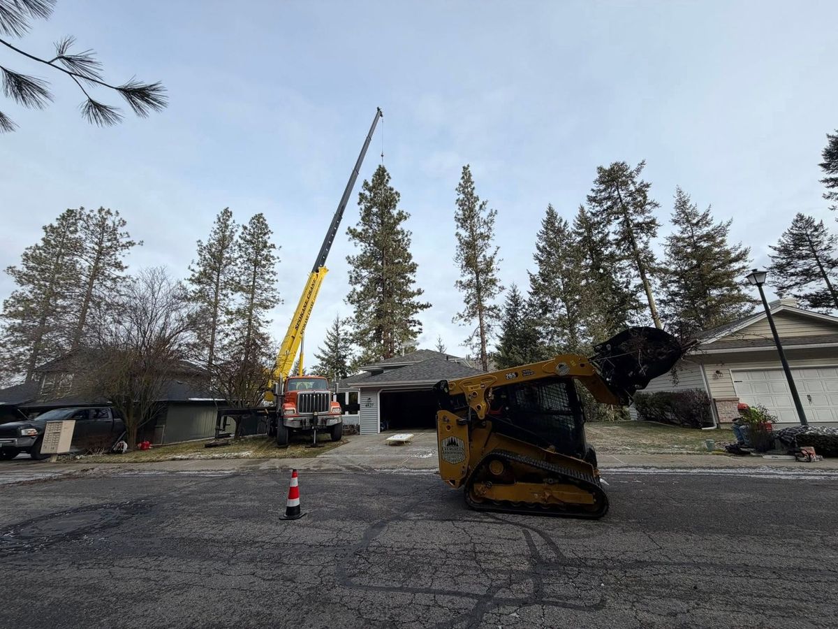 Tree removal and land clearing work by Evergreen Arborworks in Eastern Washington — photo 217