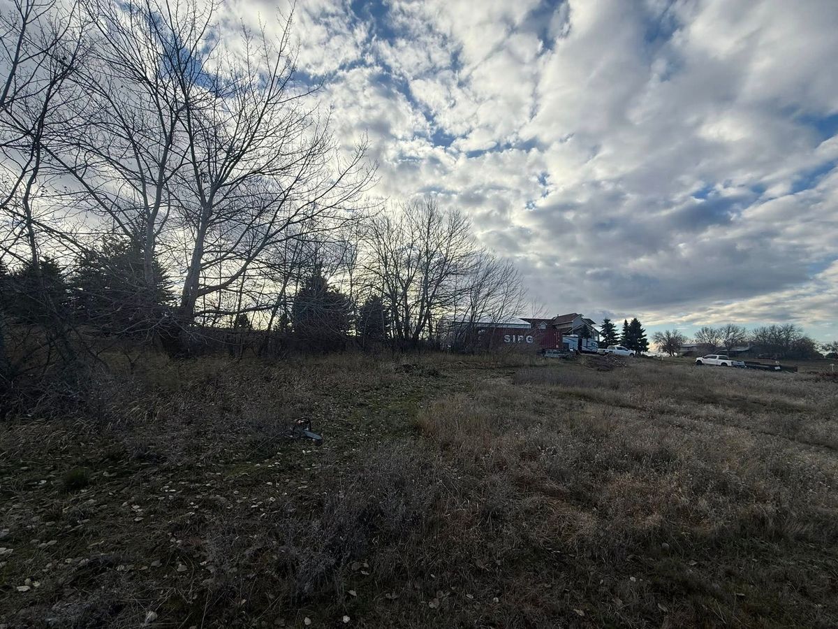 Tree removal and land clearing work by Evergreen Arborworks in Eastern Washington — photo 93
