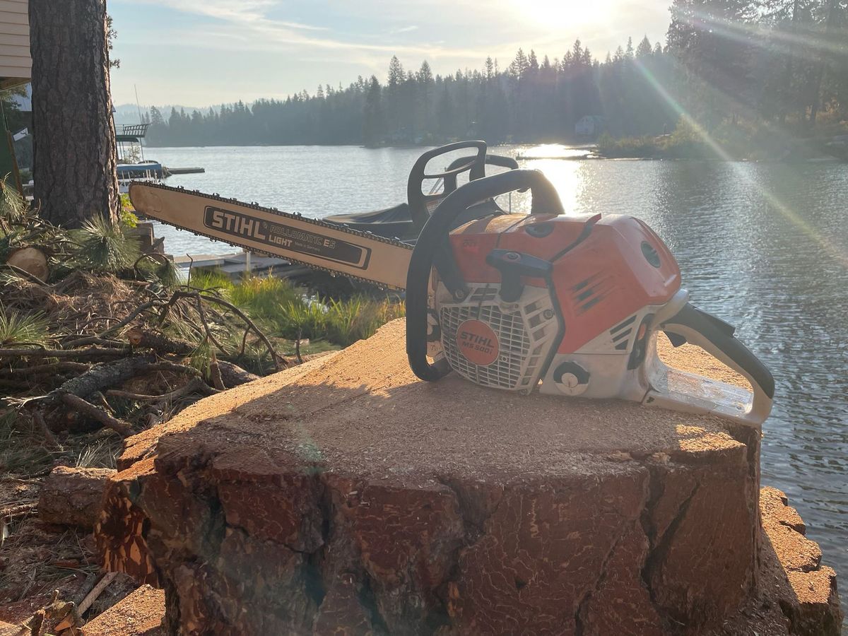 Tree removal and land clearing work by Evergreen Arborworks in Eastern Washington — photo 204