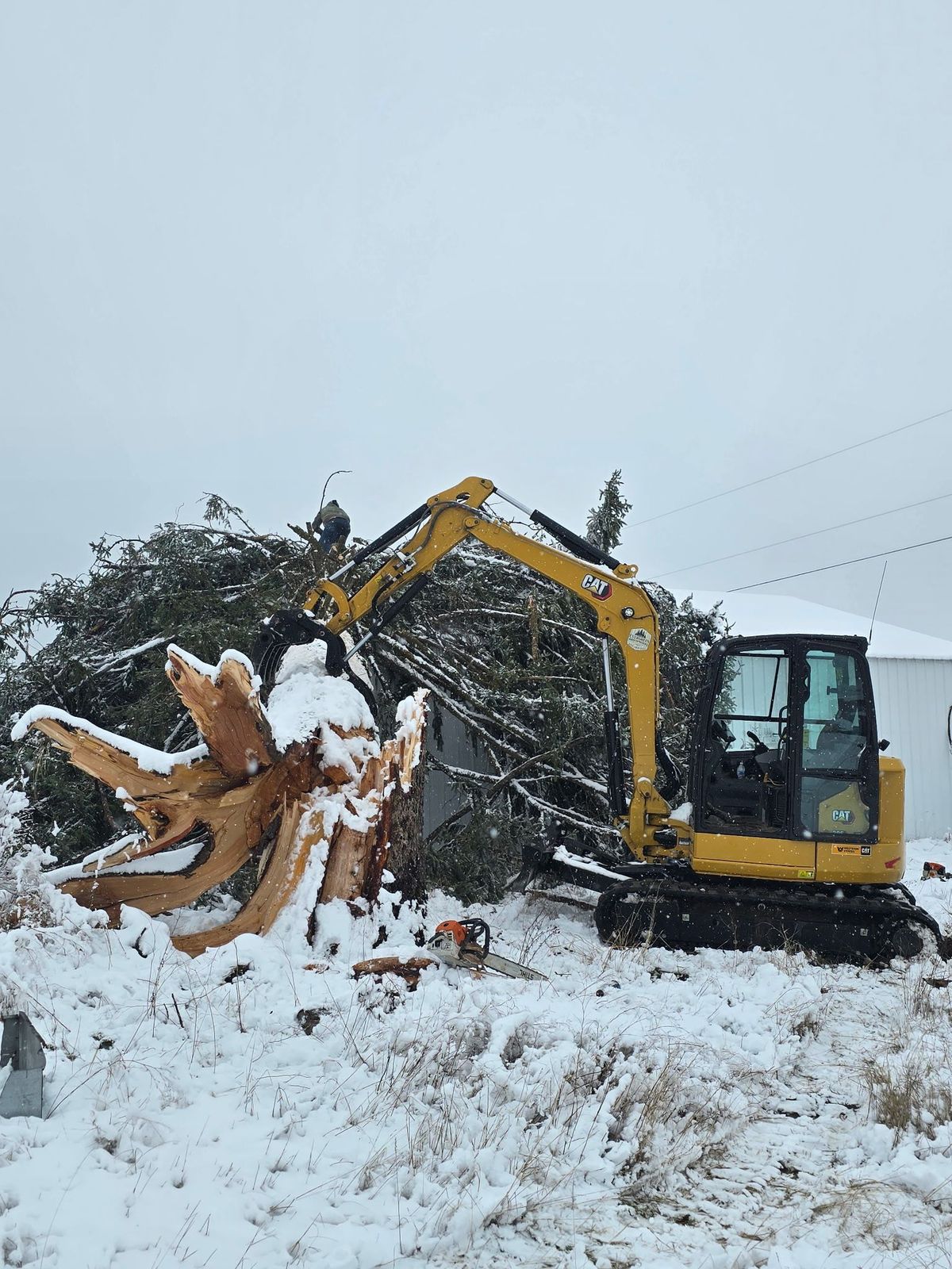 Tree removal and land clearing work by Evergreen Arborworks in Eastern Washington — photo 19