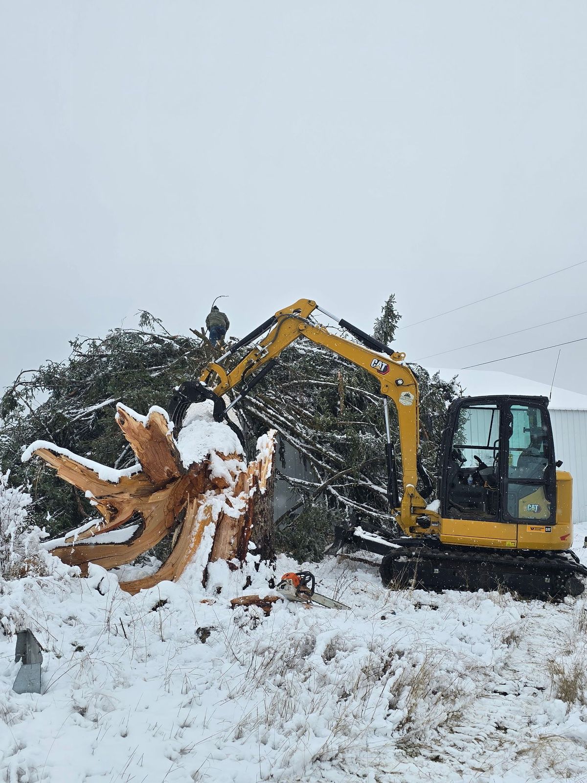 Tree removal and land clearing work by Evergreen Arborworks in Eastern Washington — photo 5