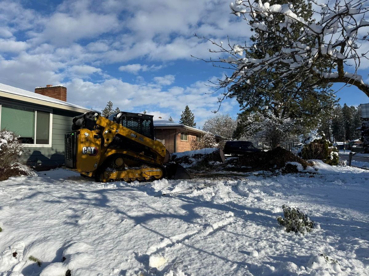 Tree removal and land clearing work by Evergreen Arborworks in Eastern Washington — photo 40
