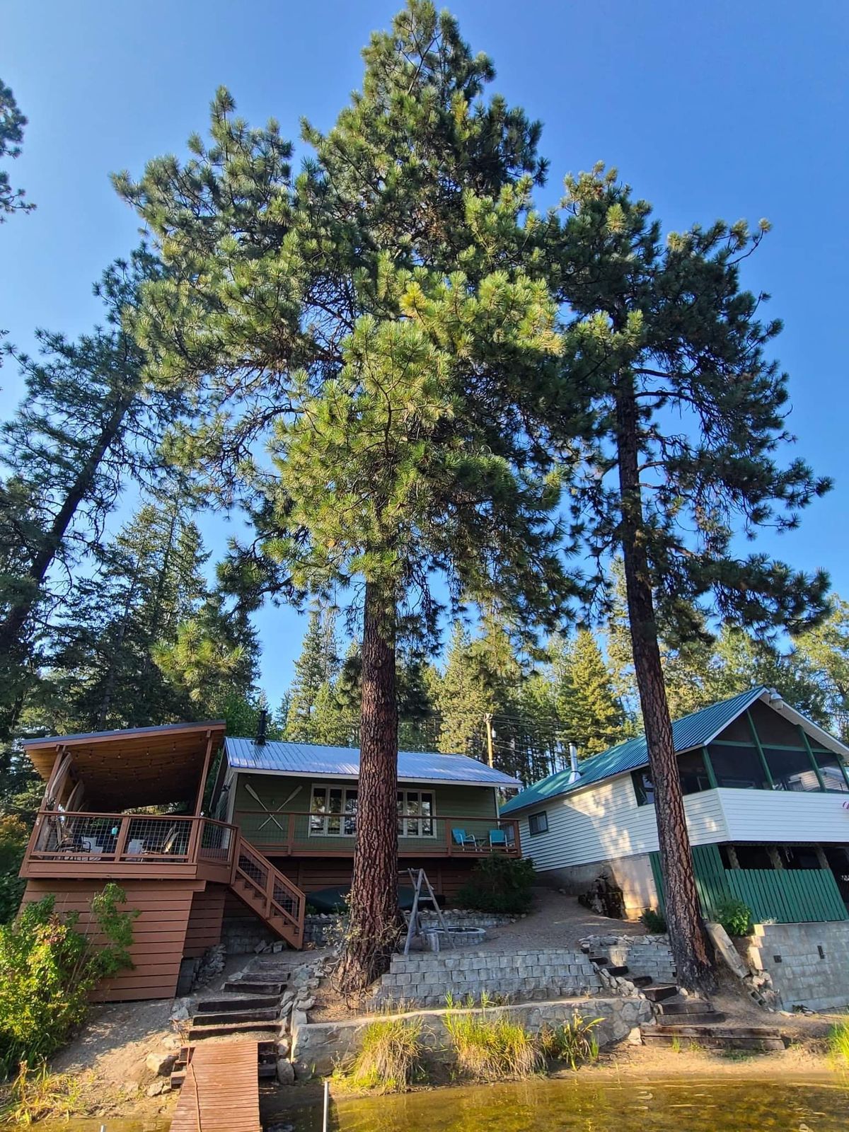 Tree removal and land clearing work by Evergreen Arborworks in Eastern Washington — photo 127
