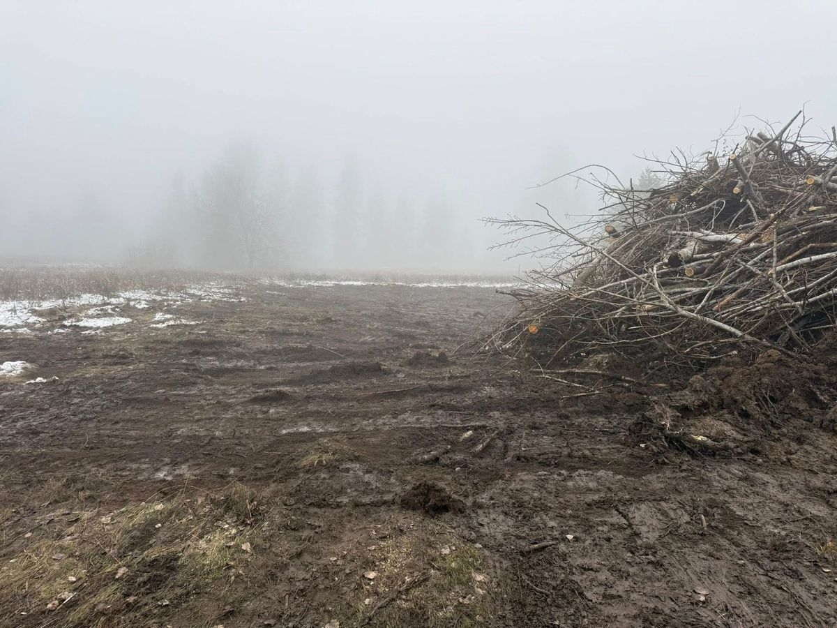 Clearing Land So You Can Use It