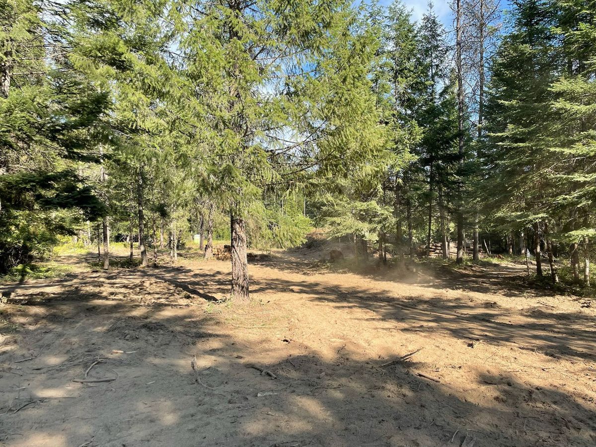 About Evergreen ARBORWORKS in Newport, Spokane, Spokane Valley, Deer Park, Chewelah, and Colville